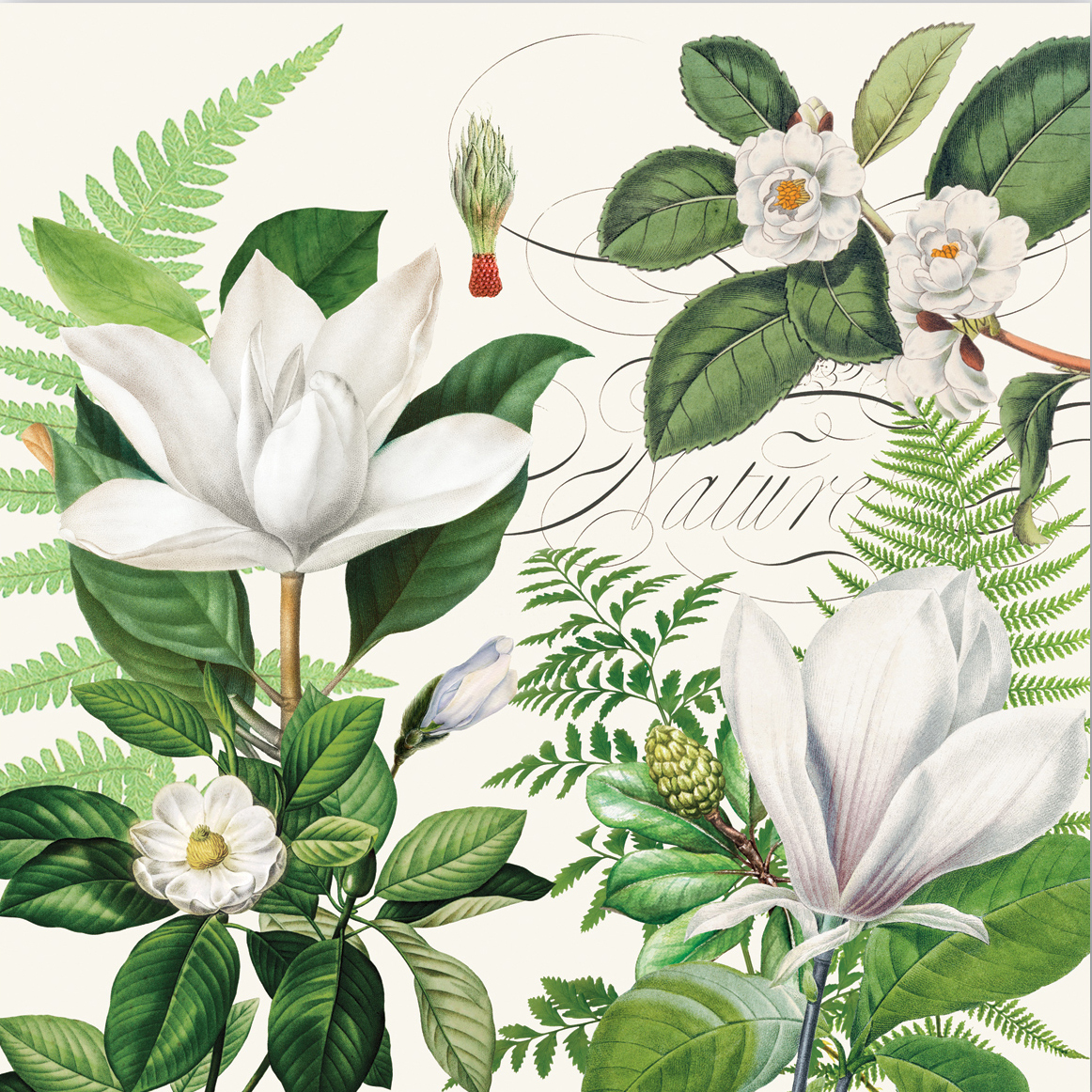 Magnolia Petals  Michel DEsign Works